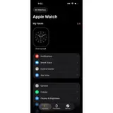 Apple Watch Series 10 (46mm, Cellular) Titanium Case Milanese Loop - Thumbnail 10