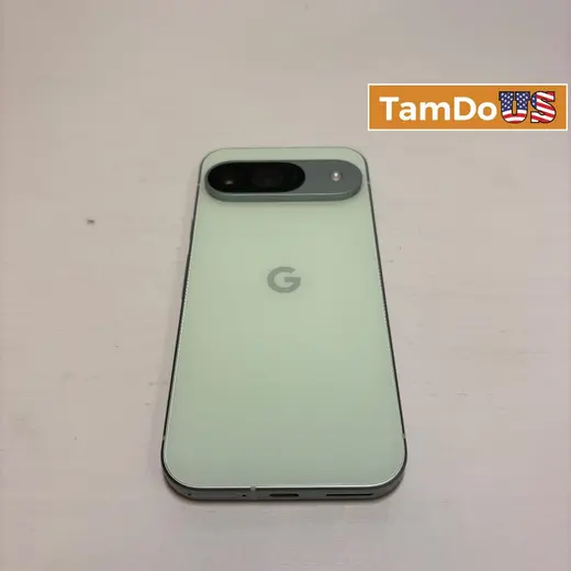 Google Pixel 9 | 128GB | Wintergreen | Unlocked at TamDoUS Taylorsville