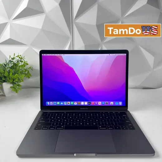 Apple MacBook Pro (13", 2016, 4 x TB3 Ports) i5 2.9GHz, 8GB RAM, 256GB SSD at TamDoUS Taylorsville