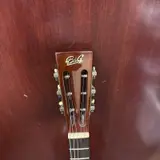 B&G Little Sister Crossroads Non-Cutaway P90 Tobacco Burst Hollow Body Guitar - Thumbnail 5