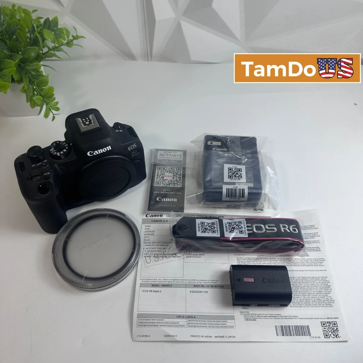 Canon EOS R6 Mark II Mirrorless Camera Body Only 24.2MP 4K60p - Photo 1 - Real photo at TamDoUS Salt Lake City