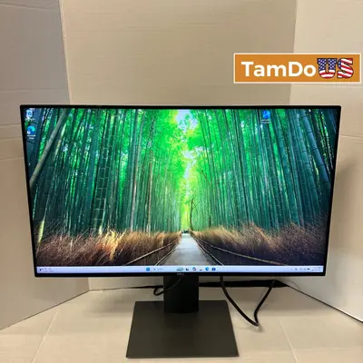 Dell UltraSharp U2419HC 24" FHD 1080p IPS USB-C Monitor Thin Bezel Swivel Stand at Monitors, Projectors & Accs in good condition