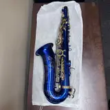 EASTROCK Dark Blue/Golden Alto Saxophone E Flat Sax Full Kit w/ Case - Thumbnail 5