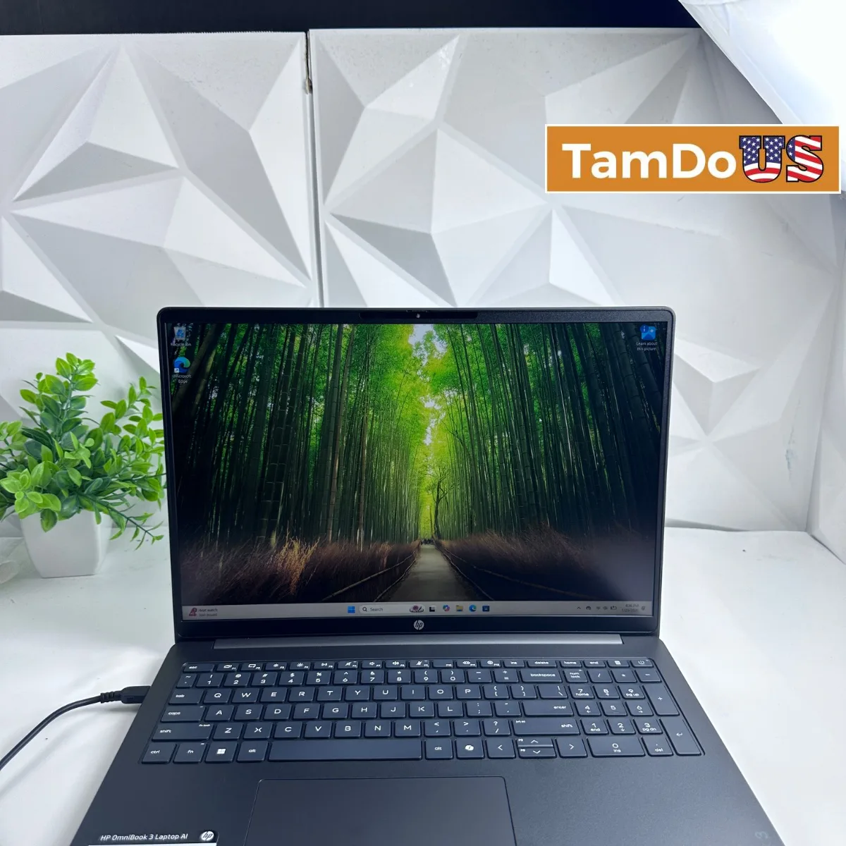 HP OmniBook 3 Laptop, 16" WUXGA, Intel Ultra 7 255U, 16GB, 512GB SSD - Photo 1 - Real photo at TamDoUS Salt Lake City