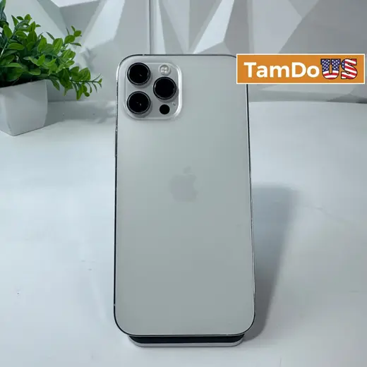 iPhone 12 Pro Max | 128GB | Silver | Unlocked at TamDoUS Taylorsville