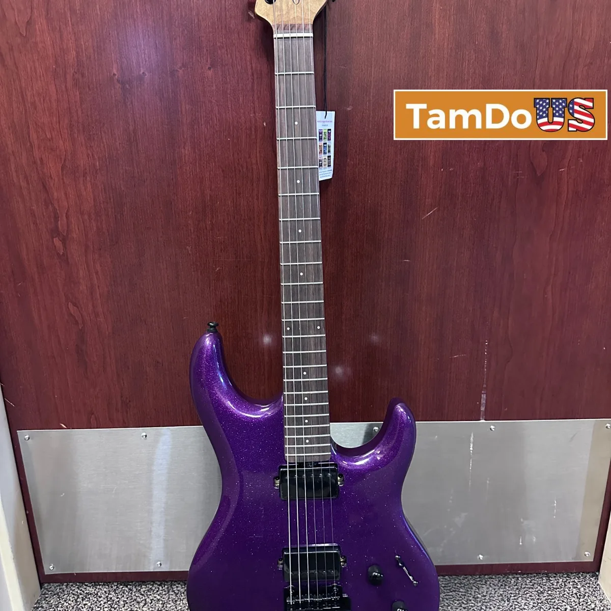 Sterling LK100 Luke Electric Guitar, Rosewood Fingerboard, Purple Sparkle - Photo 1 - Real photo at TamDoUS Salt Lake City